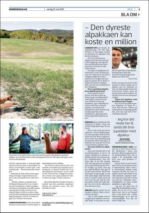 romerikesblad_helg-20190525_000_00_00_005.pdf