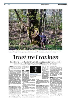 romerikesblad_helg-20190525_000_00_00_018.pdf