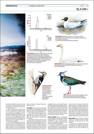 romerikesblad_helg-20191130_000_00_00_005.pdf