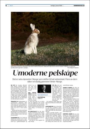 romerikesblad_helg-20200104_000_00_00_018.pdf