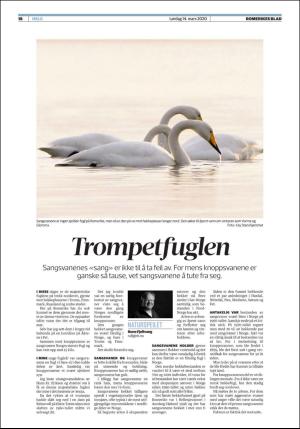 romerikesblad_helg-20200314_000_00_00_018.pdf