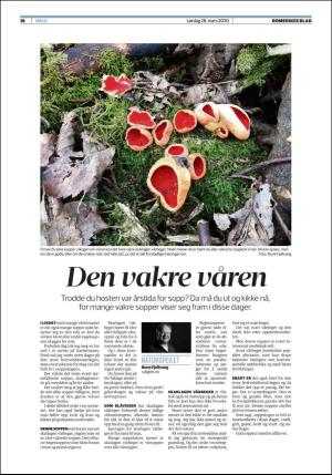romerikesblad_helg-20200328_000_00_00_016.pdf