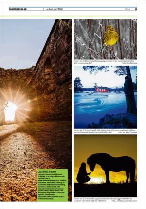 romerikesblad_helg-20200404_000_00_00_015.pdf