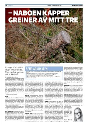 romerikesblad_helg-20201107_000_00_00_020.pdf