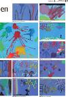 romerikesblad_lorenskog-20080123_000_00_00_021.pdf