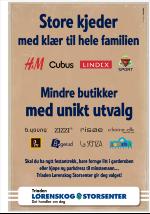 romerikesblad_lorenskog-20090128_000_00_00_011.pdf