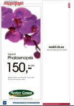 romerikesblad_lorenskog-20090204_000_00_00_006.pdf