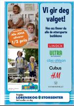 romerikesblad_lorenskog-20090401_000_00_00_015.pdf
