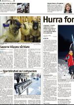 romerikesblad_lorenskog-20100317_000_00_00_008.pdf