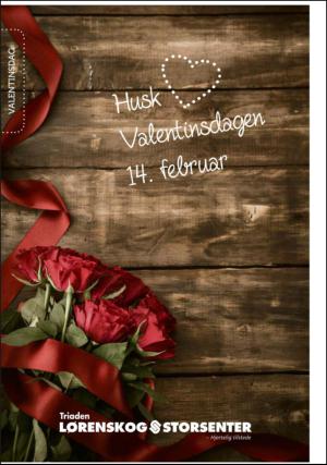 romerikesblad_lorenskog-20130213_000_00_00_012.pdf