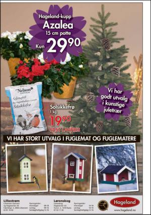 romerikesblad_lorenskog-20131113_000_00_00_004.pdf
