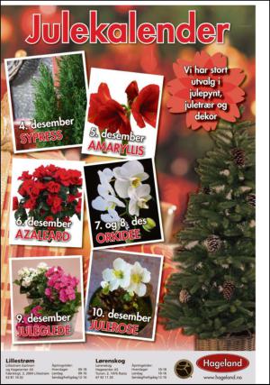 romerikesblad_lorenskog-20131204_000_00_00_012.pdf