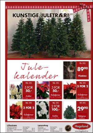 romerikesblad_lorenskog-20131211_000_00_00_011.pdf