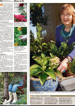 romerikesblad_nedre-20091006_000_00_00_024.pdf