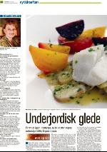 romerikesblad_nedre-20091231_000_00_00_040.pdf