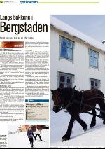 romerikesblad_nedre-20091231_000_00_00_042.pdf