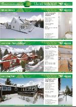 romerikesblad_nedre-20100108_000_00_00_034.pdf