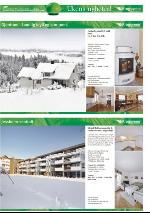 romerikesblad_nedre-20100129_000_00_00_034.pdf