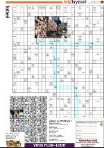 romerikesblad_nedre-20100212_000_00_00_061.pdf