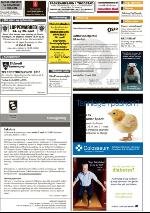 romerikesblad_nedre-20100330_000_00_00_030.pdf