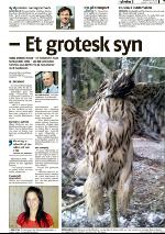 romerikesblad_nedre-20100417_000_00_00_007.pdf