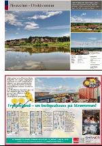 romerikesblad_nedre-20100504_000_00_00_031.pdf