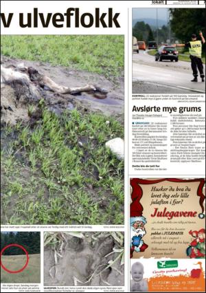 romerikesblad_nedre-20100818_000_00_00_007.pdf