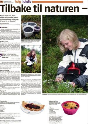 romerikesblad_nedre-20100827_000_00_00_038.pdf