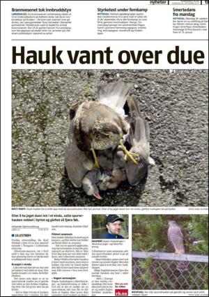 romerikesblad_nedre-20100920_000_00_00_013.pdf