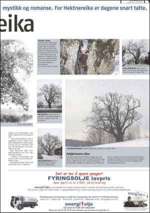 romerikesblad_nedre-20110316_000_00_00_009.pdf