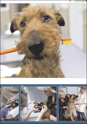 romerikesblad_nedre-20110510_000_00_00_015.pdf