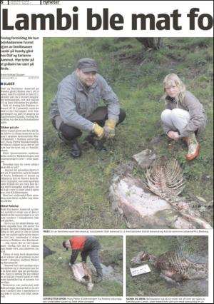 romerikesblad_nedre-20110531_000_00_00_006.pdf