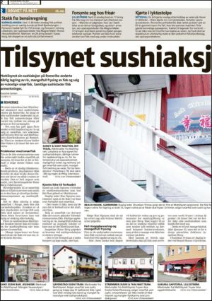romerikesblad_nedre-20110929_000_00_00_002.pdf