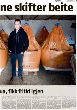 romerikesblad_nedre-20120515_000_00_00_005.pdf