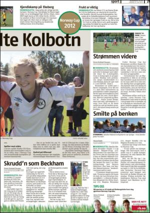 romerikesblad_nedre-20120731_000_00_00_021.pdf