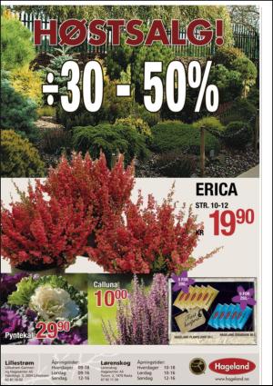 romerikesblad_nedre-20120830_000_00_00_042.pdf