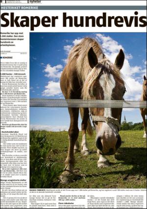romerikesblad_nedre-20130626_000_00_00_008.pdf