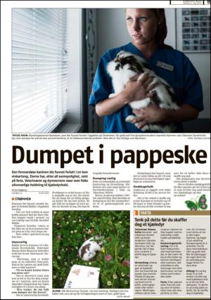 romerikesblad_nedre-20130702_000_00_00_015.pdf