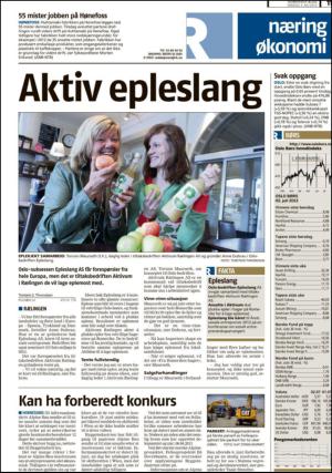 romerikesblad_nedre-20130703_000_00_00_011.pdf