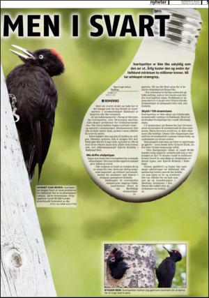romerikesblad_nedre-20130709_000_00_00_005.pdf