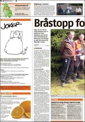 romerikesblad_nedre-20130722_000_00_00_012.pdf