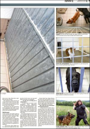 romerikesblad_nedre-20130729_000_00_00_011.pdf