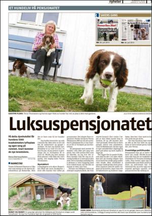 romerikesblad_nedre-20130731_000_00_00_007.pdf
