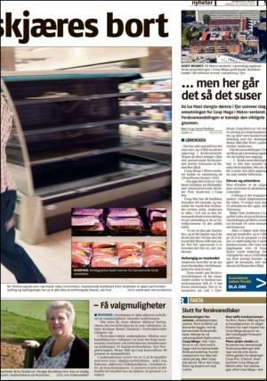 romerikesblad_nedre-20130810_000_00_00_005.pdf