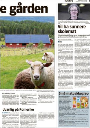 romerikesblad_nedre-20130821_000_00_00_005.pdf