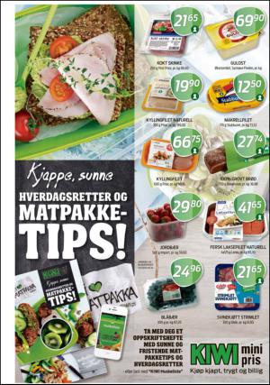 romerikesblad_nedre-20130822_000_00_00_021.pdf