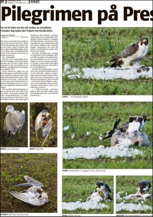 romerikesblad_nedre-20130902_000_00_00_020.pdf