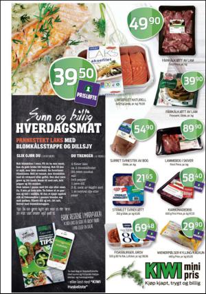 romerikesblad_nedre-20130912_000_00_00_023.pdf