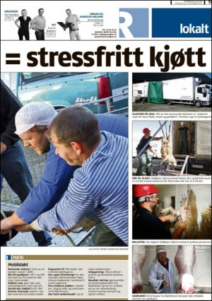 romerikesblad_nedre-20130926_000_00_00_017.pdf