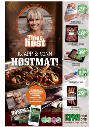 romerikesblad_nedre-20130926_000_00_00_021.pdf